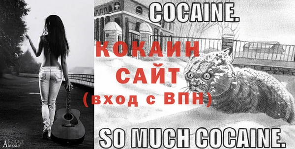 бошки Белокуриха
